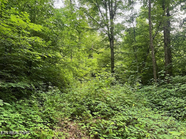 Boatland Rd, Jamestown, TN 38556