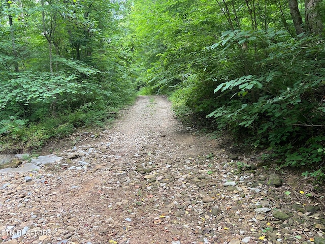 Boatland Rd, Jamestown, TN 38556