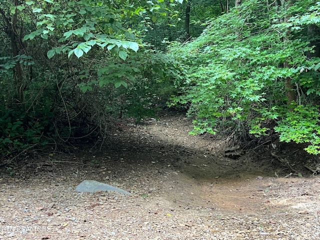 Boatland Rd, Jamestown, TN 38556