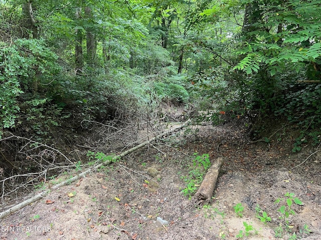 Boatland Rd, Jamestown, TN 38556