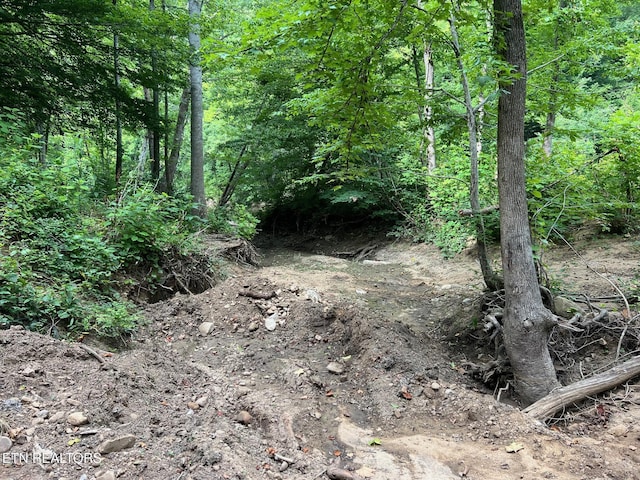 Boatland Rd, Jamestown, TN 38556