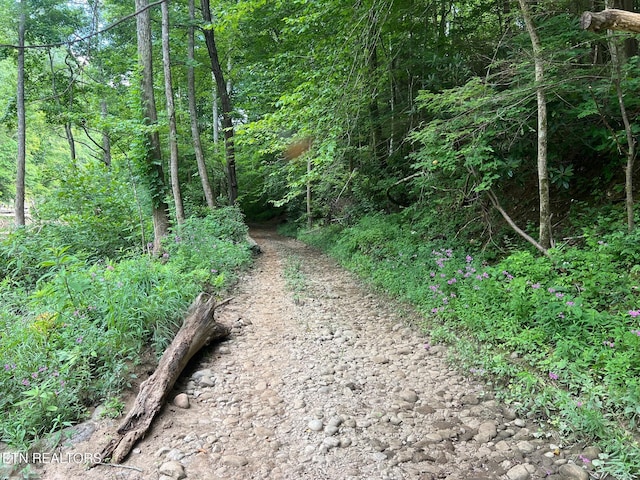 Boatland Rd, Jamestown, TN 38556