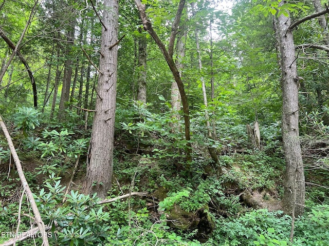 Boatland Rd, Jamestown, TN 38556