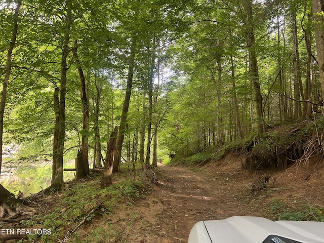 Boatland Rd, Jamestown, TN 38556