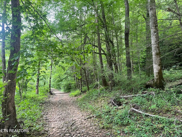 Boatland Rd, Jamestown, TN 38556