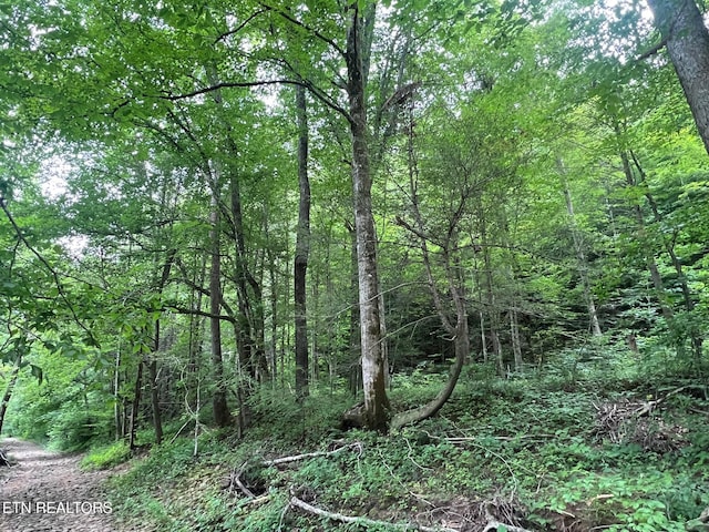 Boatland Rd, Jamestown, TN 38556