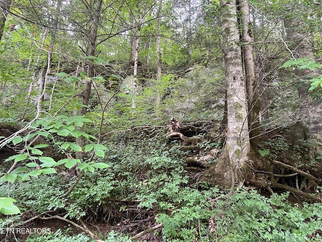 Boatland Rd, Jamestown, TN 38556