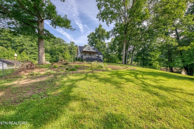 313 Edgewood Cir, Clinton, TN 37716 - view of yard