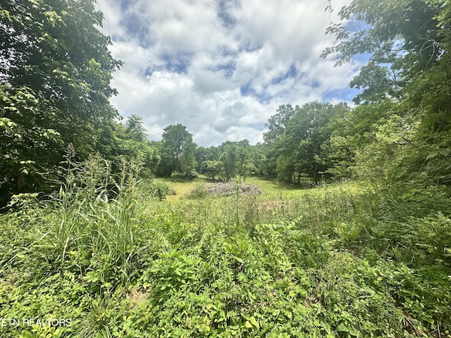 1123 Pleasant Ridge Rd, Lafollette, TN 37766