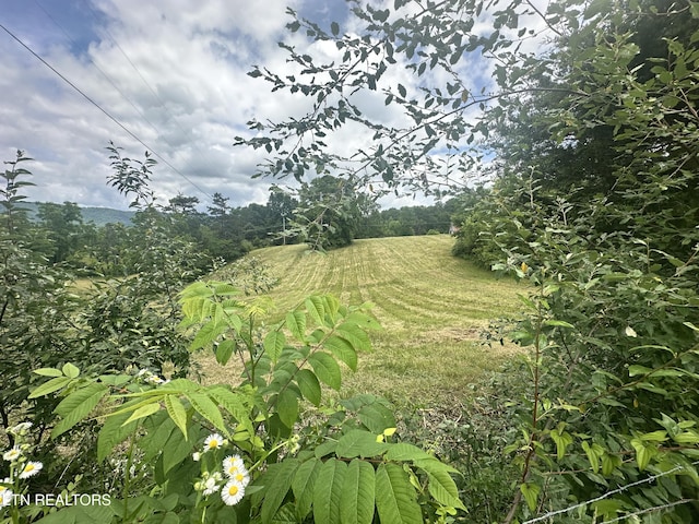 1123 Pleasant Ridge Rd, Lafollette, TN 37766