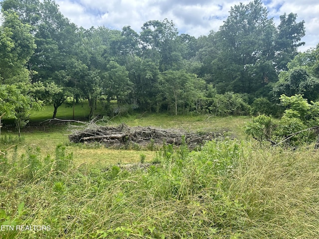 1123 Pleasant Ridge Rd, Lafollette, TN 37766