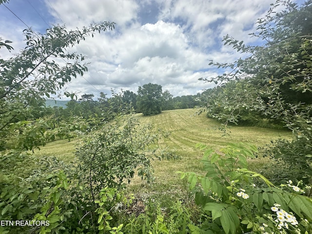 1123 Pleasant Ridge Rd, Lafollette, TN 37766