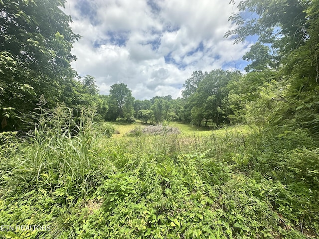 1123 Pleasant Ridge Rd, Lafollette, TN 37766