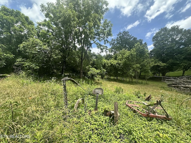 1123 Pleasant Ridge Rd, Lafollette, TN 37766