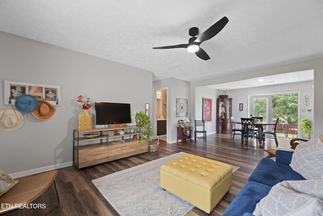 7217 Palermo Rd, Knoxville, TN 37918 - living room with wood finished floors, a ceiling fan, and a textured ceiling
