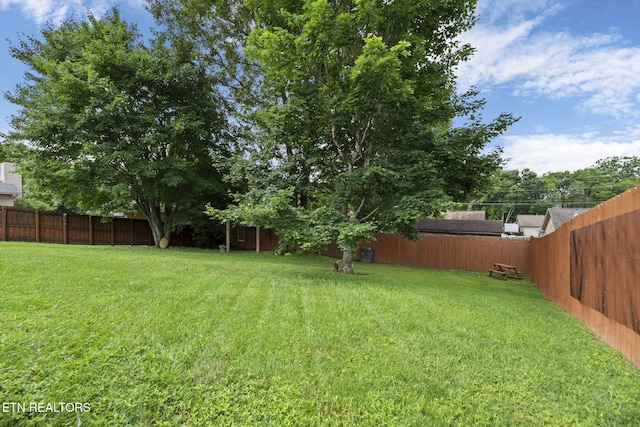 7217 Palermo Rd, Knoxville, TN 37918 - view of fenced backyard