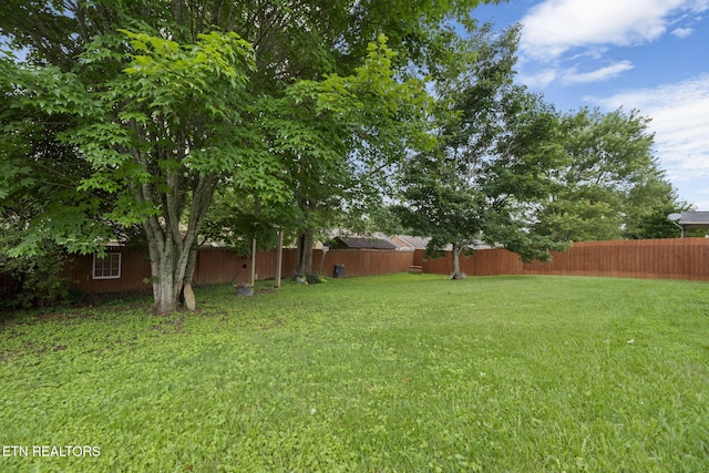 7217 Palermo Rd, Knoxville, TN 37918 - view of fenced backyard