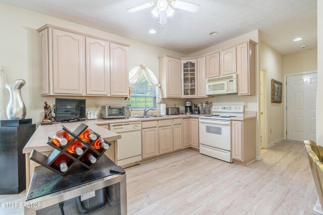 501 Glen Ives Way, Knoxville, TN 37919 - photo 16