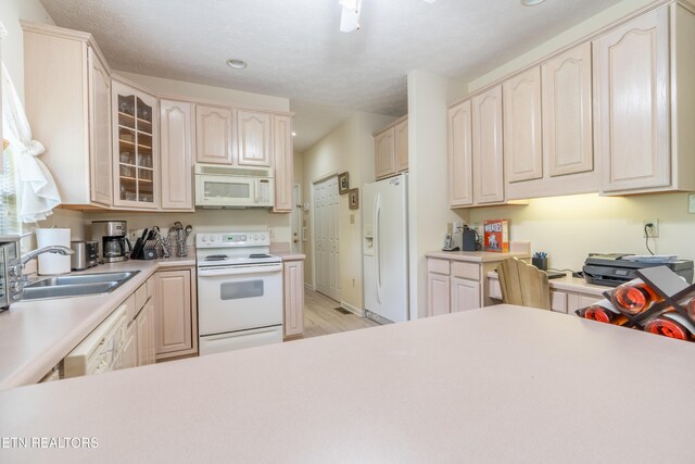 501 Glen Ives Way, Knoxville, TN 37919 - photo 17