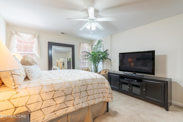 501 Glen Ives Way, Knoxville, TN 37919 - photo 49