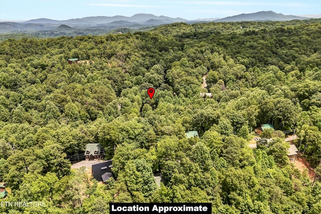 701A-703A School House Gap Rd, Sevierville, TN 37876 - photo 19
