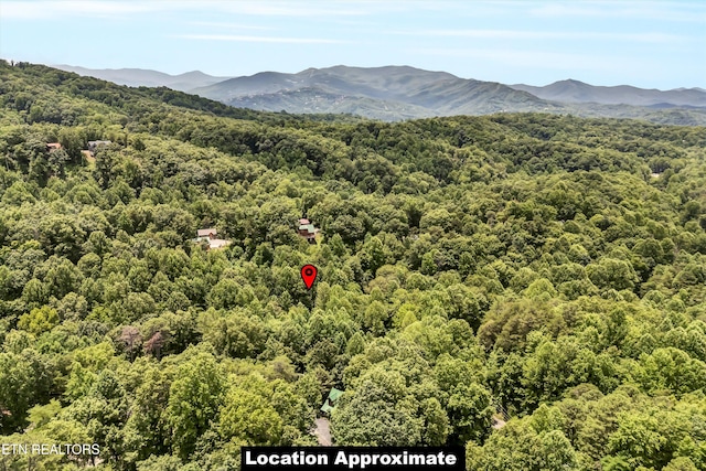 701A-703A School House Gap Rd, Sevierville, TN 37876 - photo 20