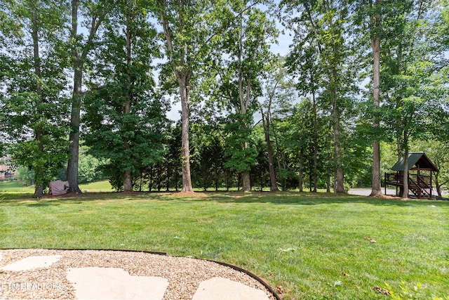 2808 Surfside Shores Ln, Knoxville, TN 37938 - photo 47