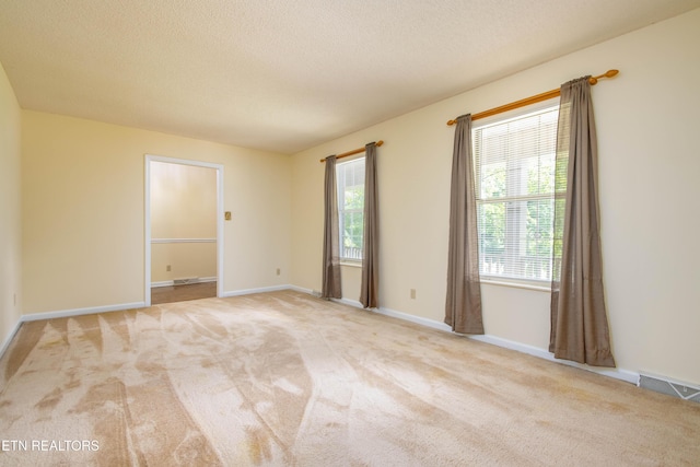 1705 Bobwhite Dr, Maryville, TN 37803 - unfurnished room featuring healthy amount of natural light, carpet flooring, and a textured ceiling