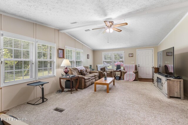 154 County Road 570, Englewood, TN 37329 - photo 6