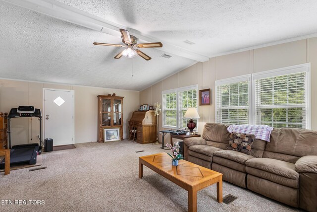 154 County Road 570, Englewood, TN 37329 - photo 5