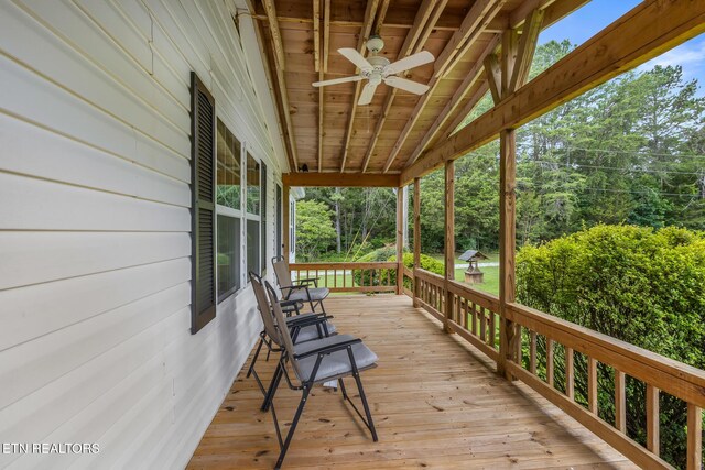 154 County Road 570, Englewood, TN 37329 - photo 4