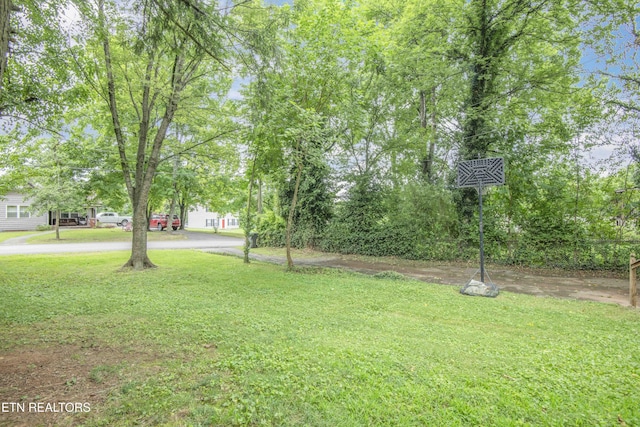 2530 Keystone Ave, Knoxville, TN 37917 - photo 36