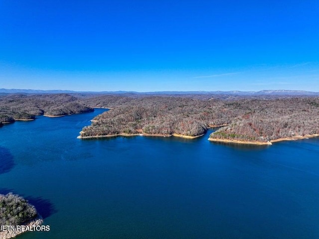 Hickory Pointe Ln, Maynardville, TN 37807 - photo 2