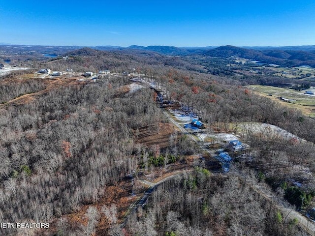 Hickory Pointe Ln, Maynardville, TN 37807 - photo 3