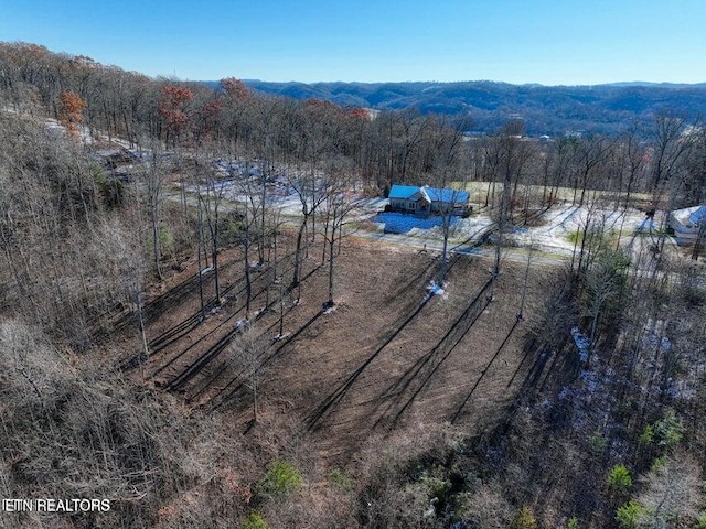 Hickory Pointe Ln, Maynardville, TN 37807 - photo 5