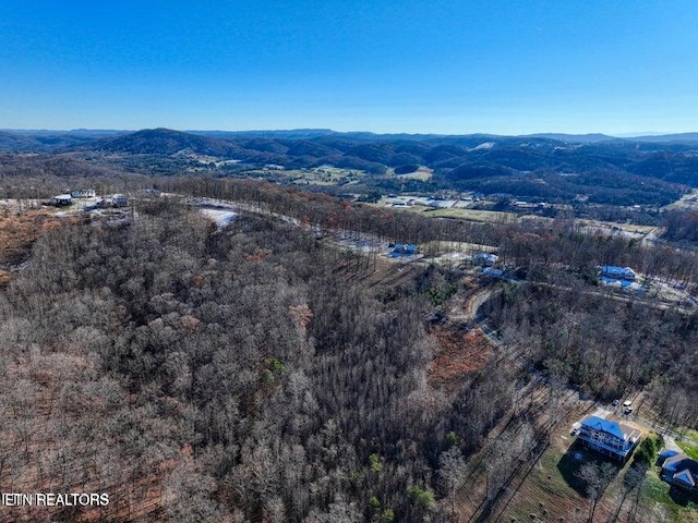 Hickory Pointe Ln, Maynardville, TN 37807 - photo 7