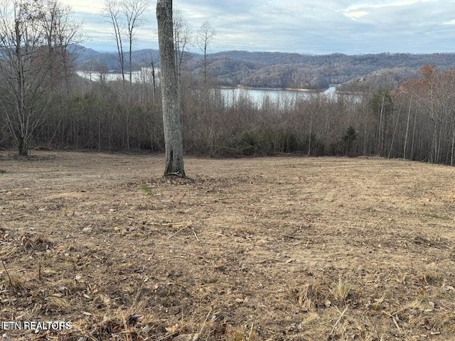 Hickory Pointe Ln, Maynardville, TN 37807 - photo 8