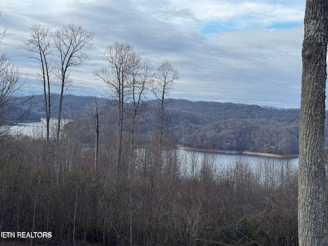 Hickory Pointe Ln, Maynardville, TN 37807 - photo 10