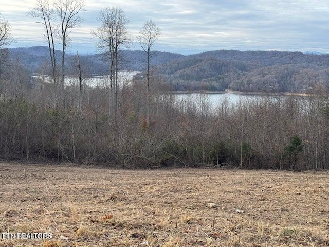 Hickory Pointe Ln, Maynardville, TN 37807 - photo 1