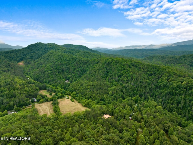 1668 Misty Mountain Way, Sevierville, TN 37876 - photo 25