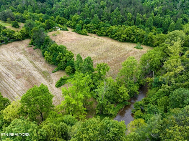 1668 Misty Mountain Way, Sevierville, TN 37876 - photo 28
