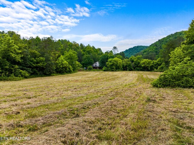 1668 Misty Mountain Way, Sevierville, TN 37876 - photo 4