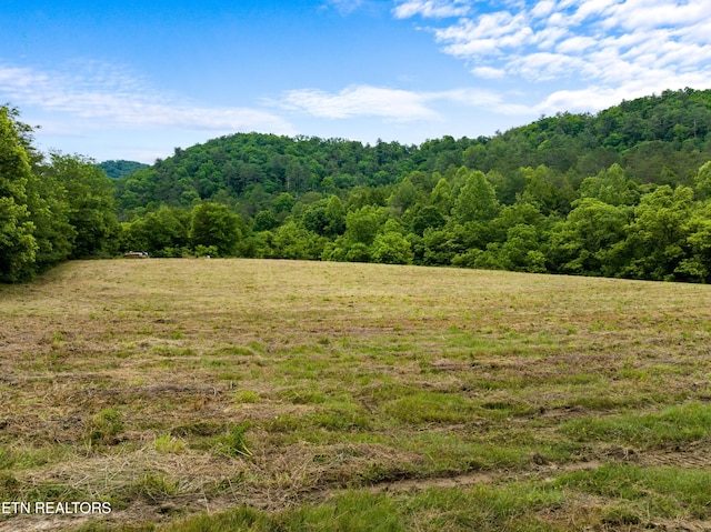 1668 Misty Mountain Way, Sevierville, TN 37876 - photo 9