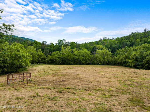 1668 Misty Mountain Way, Sevierville, TN 37876 - photo 6
