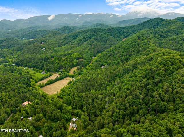 1668 Misty Mountain Way, Sevierville, TN 37876 - photo 26
