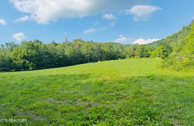 1668 Misty Mountain Way, Sevierville, TN 37876 - photo 1
