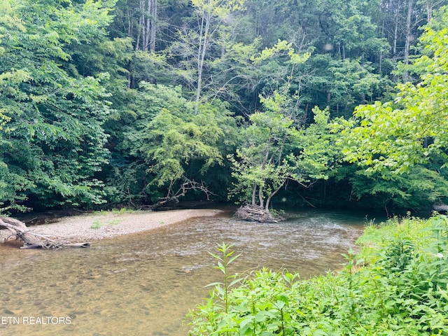 1668 Misty Mountain Way, Sevierville, TN 37876 - photo 11