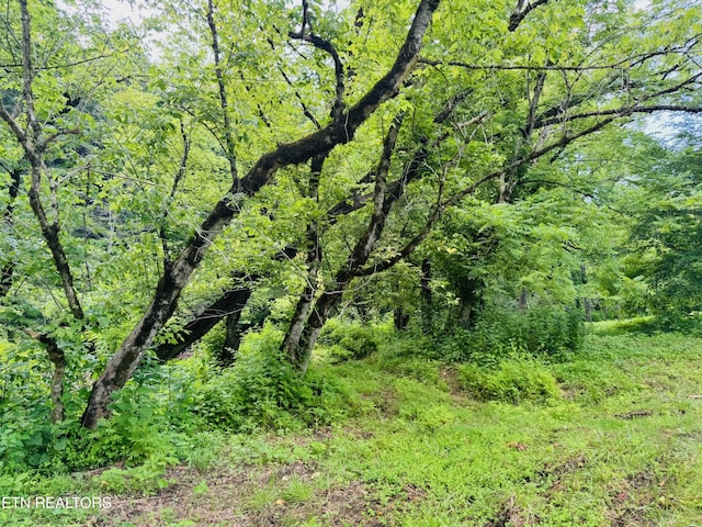 1668 Misty Mountain Way, Sevierville, TN 37876 - photo 8
