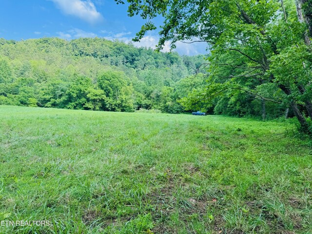 1668 Misty Mountain Way, Sevierville, TN 37876 - photo 19