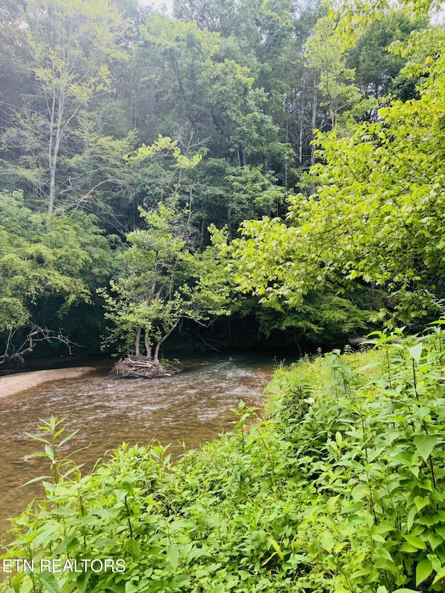 1668 Misty Mountain Way, Sevierville, TN 37876 - photo 21
